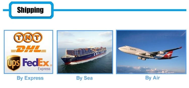 shipping shipping