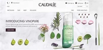 Embracing Sustainable Beauty: A Key Trend Shaping The Future Of The Cosmetics...